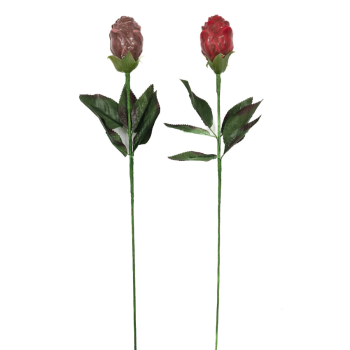 Rose ou tulipe Chocolat au lait Jadis et Gourmande