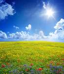 WE ou vacances chez des amis : les 5 cadeaux indispensables à glisser dans sa valise