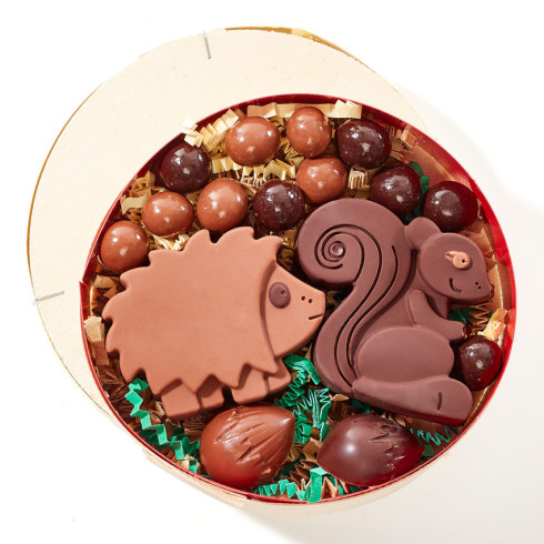 Boite automnale / Chocolats d'Automne