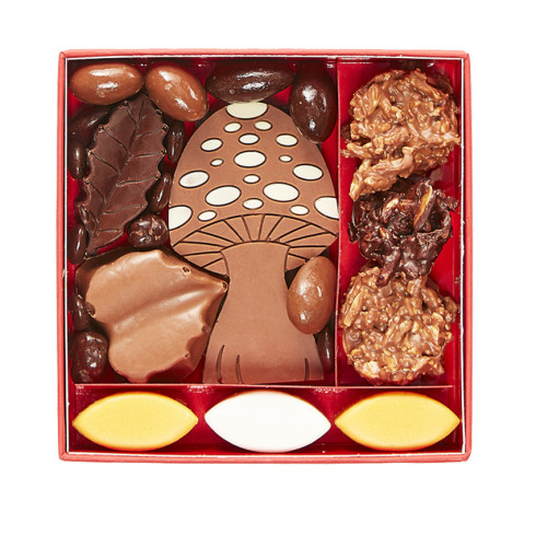 Coffret de chocolat Automne taille 1 / L'Automne