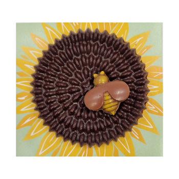 Bouchées tournesol chocolat noir Jadis et Gourmande