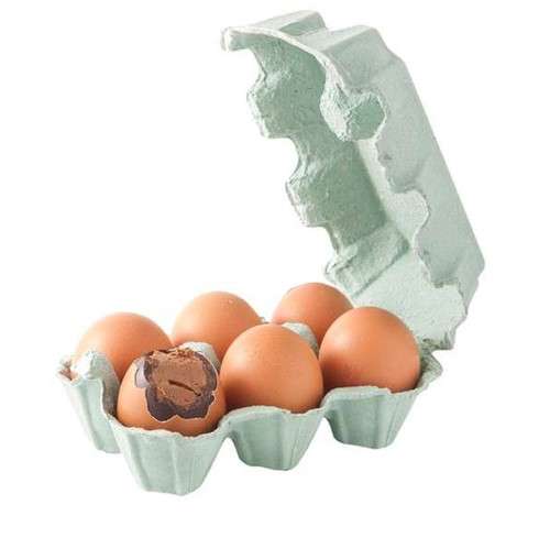 Boite de 6 oeufs coquilles praliné / Meilleures ventes de chocolats
