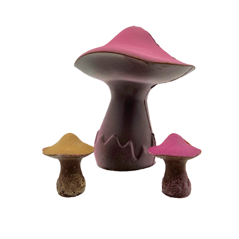 Champignon volume chocolat noir / L'Automne