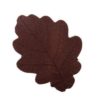 Feuille d'automne noir & praliné Jadis et Gourmande