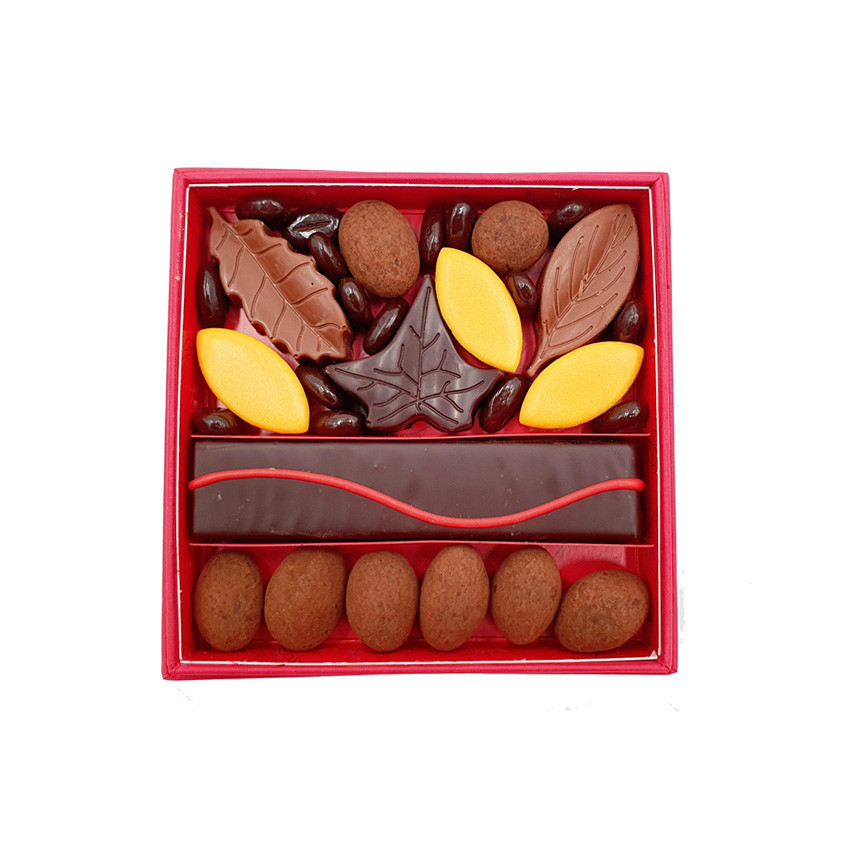 Coffret de chocolat automne taille 1