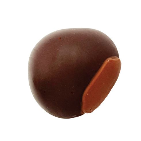Marron en chocolat LAIT ou NOIR / L'Automne