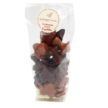 Sachet tapis d'automne Jadis et Gourmande